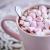 Mini Marshmallow Toppings 1kg