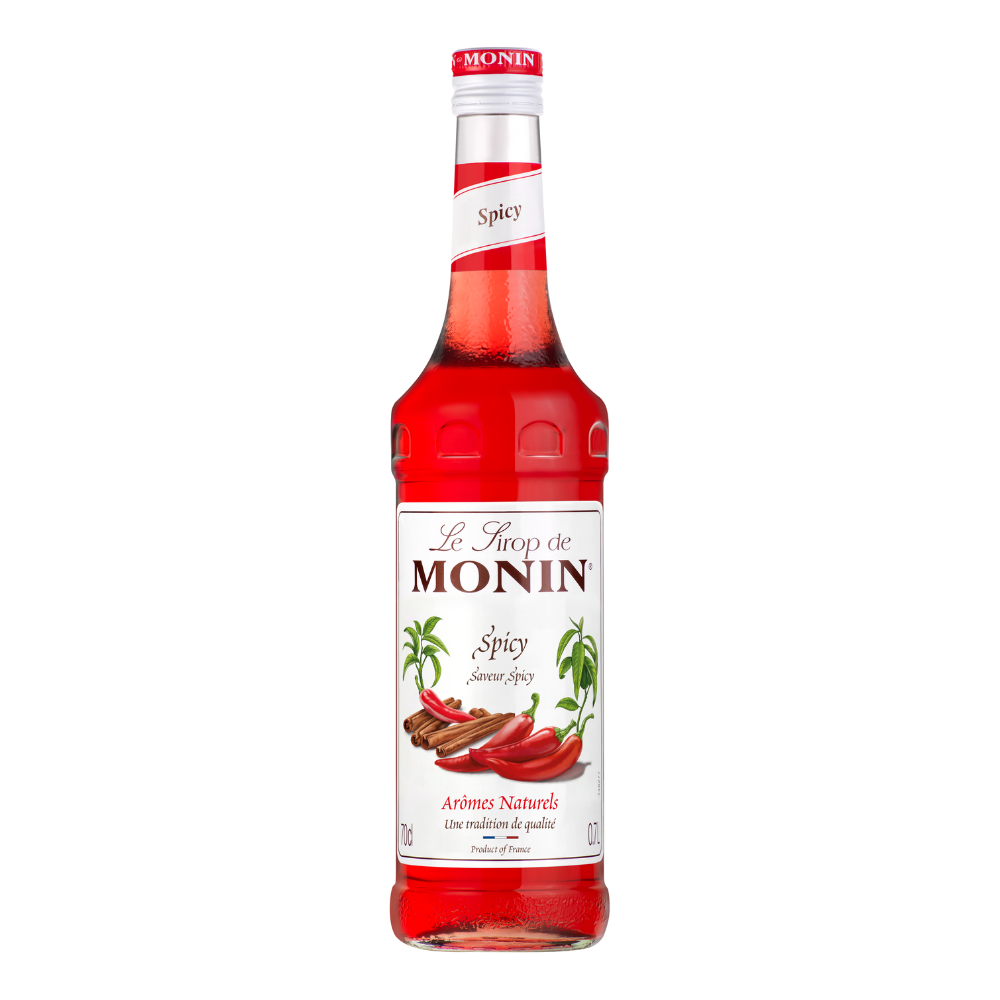 MONIN Premium Spicy Syrup 700ml Bottle
