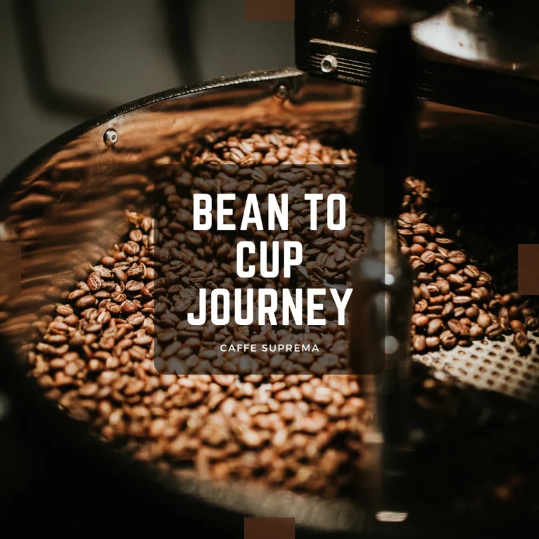 Exploring Caffe Suprema Coffee Beans – Bean to Cup Journey